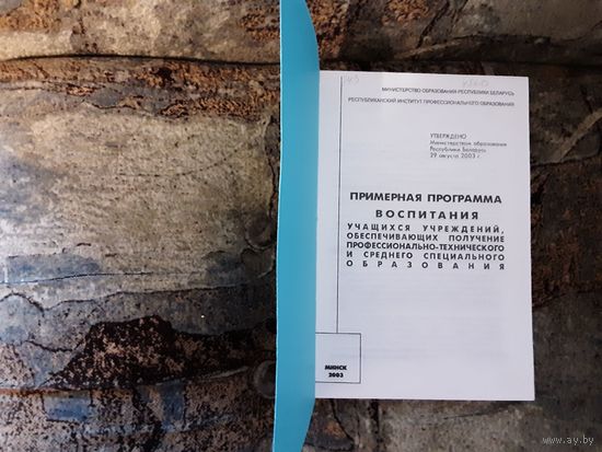Примерная программа воспитания учащихся учреждений, обеспечивающих получение профессионально-технического и среднего спец. образования