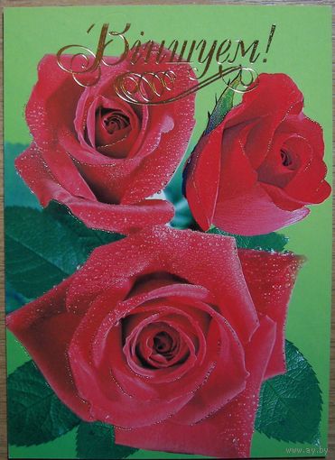 Карточки РБ. Вiншуем. 2005г.