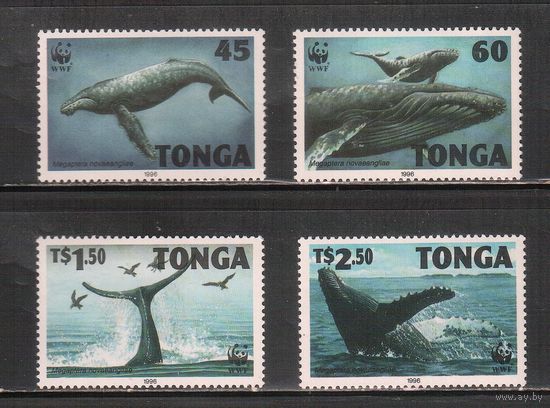 Тонга -1996 (Мих.1400-1403) , ** , Морская фауна,Киты (полная серия),