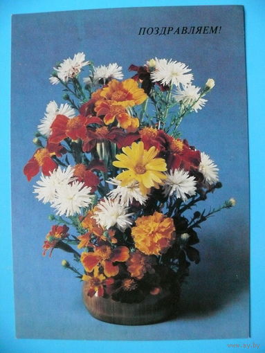 Савалов Е.(фото), Поздравляем! 1984, чистая.