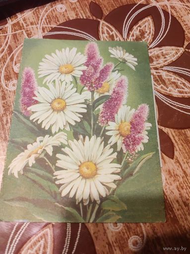 Открытка,телеграмма,подписана