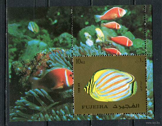 Фуджейра - 1972 - Рыбки - (незнач. пятно на клее) - [Mi. bl. 141] - 1 блок. MNH.  (Лот 57Jo)-T4P27