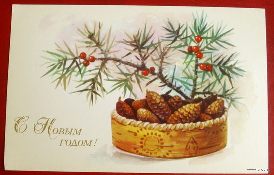 С новым годом! Чистая. 1975 года. Куртенко. *195.