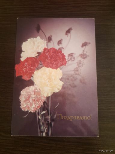 Открытка,поздравляю