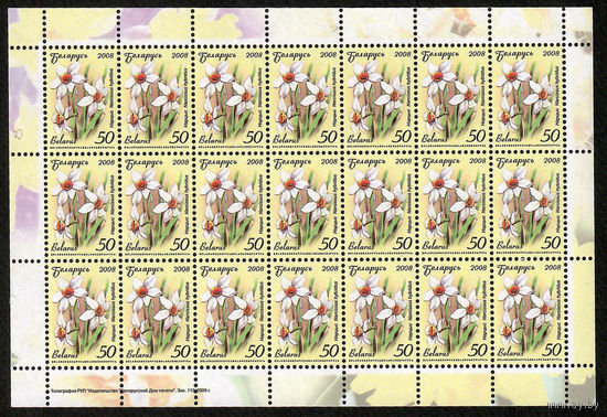 Беларусь. 2008. Стандарт.  Нарцисс (50р) (з.112-2008) Лист