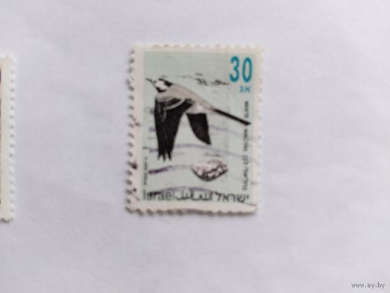 Израиль 1992 1м