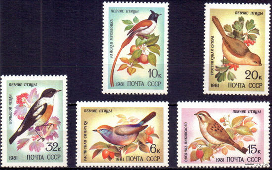 Марки СССР 1981 год.  5221-5225. Певчие птицы. Полная серия из 5 марок. 5221-5225. Чистые.