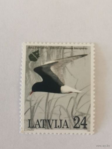 Европейский год охраны природы 1995 - Белокрылая болотная крачка (Chlidonias leucopterus)