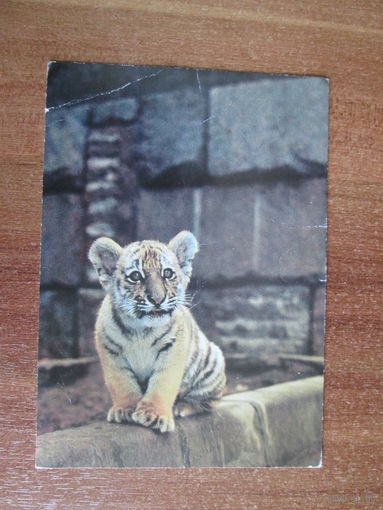 Почтовая открытка.1982г.