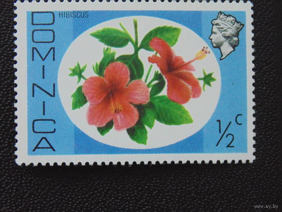 Британская Доминика 1975 г.  Гибискус.