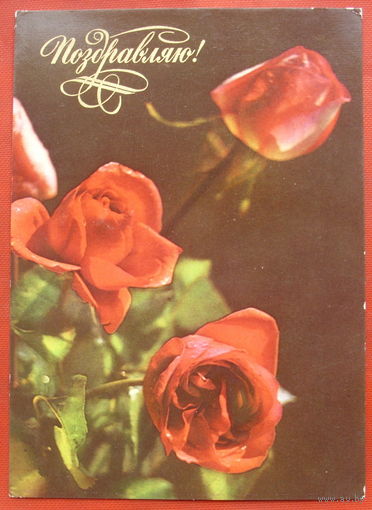 Поздравляю! Чистая. 1976 года. Фото Раскина. 1426.