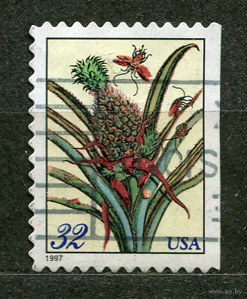 Ананас. США. 1997