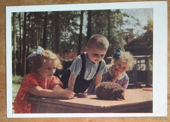 Становов А. Юные натуралисты 1963 г.