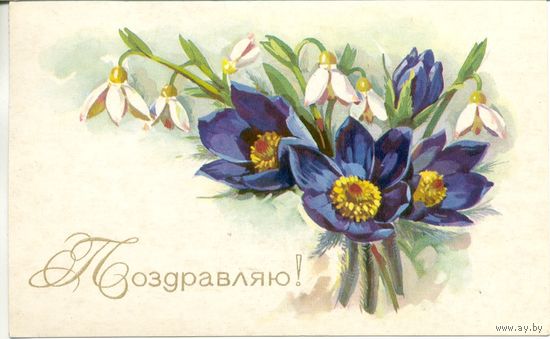 Подписанная открытка СССР. Е. Куртенко. 1977