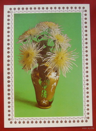 Цветы. Чистая. Братислава. 1155.