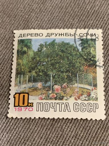 СССР 1970. Дерево дружбы. Сочи. Полная серия