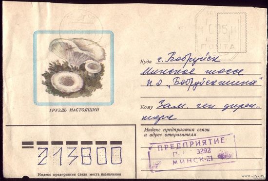 1982 год Груздь настоящий 2