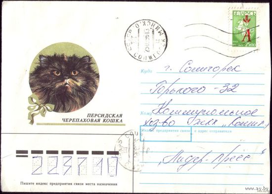 1990 год Черепаховая кошка 2