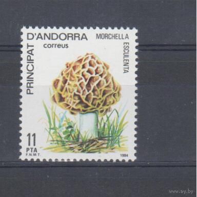 [1028] Андорра (исп.) 1984.Грибы. Одиночный выпуск. MNH. Кат.10 е.