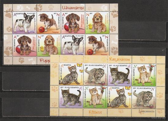 ФФ1 Беларусь 2017 Котята и щенята