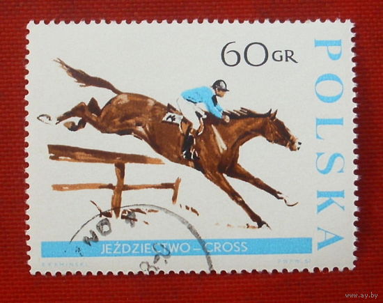 Польша. Конный спорт. ( 1 марка ) 1967 года. 8-6.