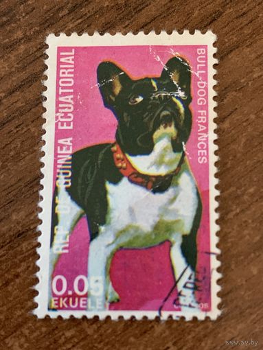 Экваториальная Гвинея 1974. Французский бульдог. Марка из серии