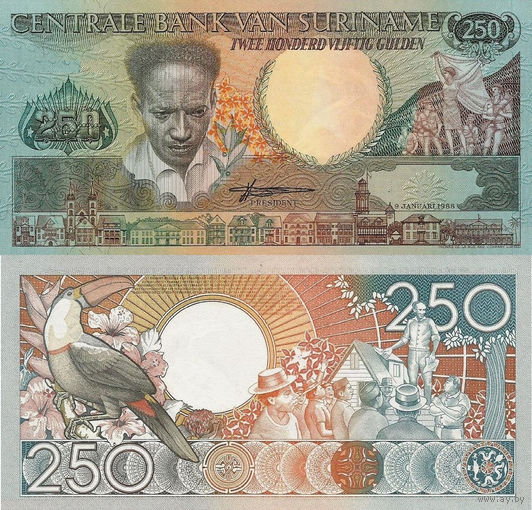 Суринам 250 Гульденов 1998 UNС П1-61