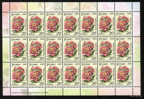 Беларусь. 2008. Стандарт. Пион (20р) (з.313-2008) Лист