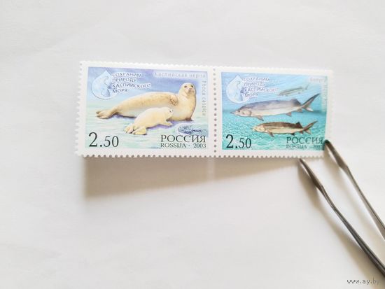 Россия  2003    2 м