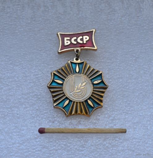 Спартакиада БССР, 2 место.