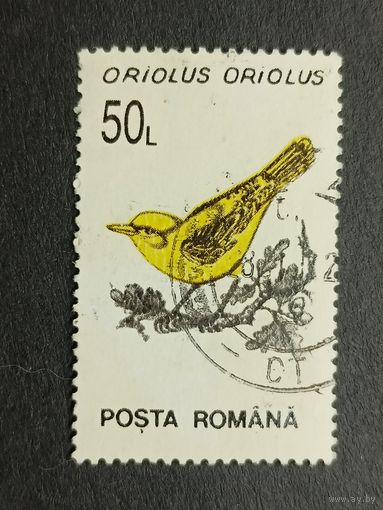 Румыния 1993. Птицы. Иволга