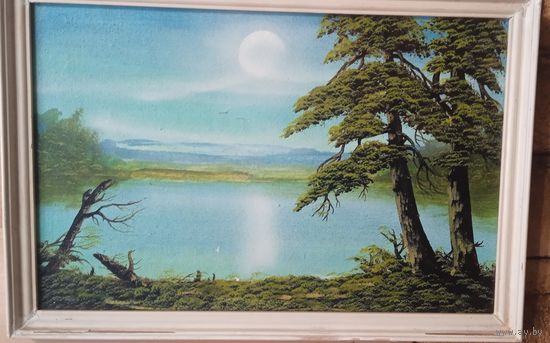 Картина м\х дублирован на двп 320 на 200