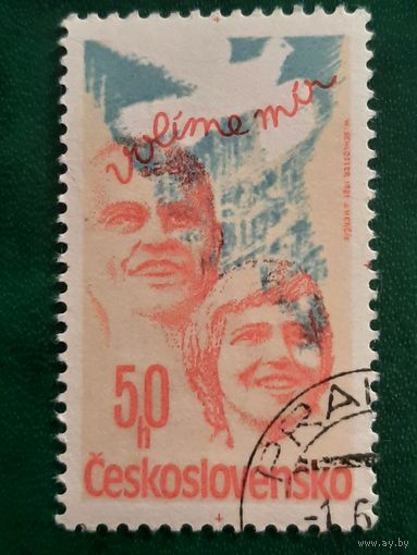 Чехословакия 1981. Выборы в представительное собрание