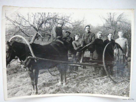 Фотография послевоенная ВОВ