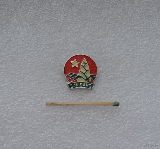 San Sang. Вьетнам. Пионерия.