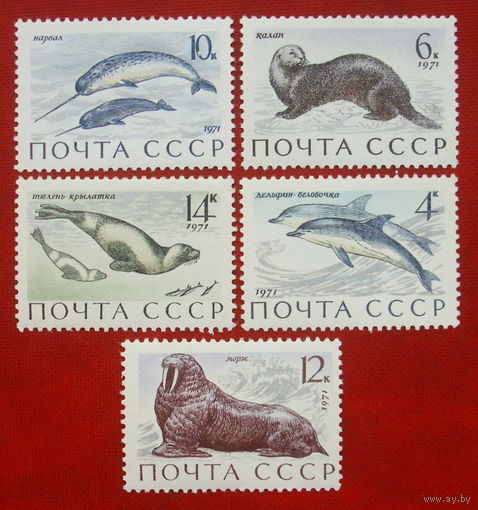СССР.  Млекопитающие - обитатели морей и океанов. ( 5 марок ) 1971 года. 10-12.