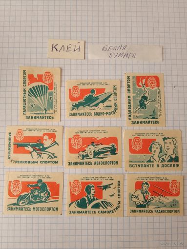 Спичечные этикетки ф.Бийск. ДОСААФ. 1964 год