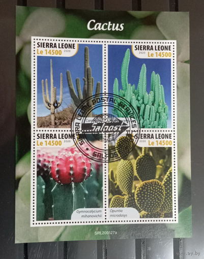 ЛИСТ ФЛОРА ЦВЕТЫ ГРИБЫ  СТО