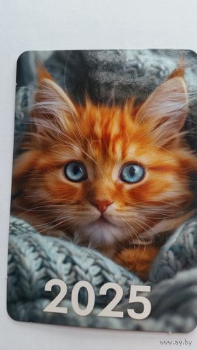 Календарик.Рыжик.2025
