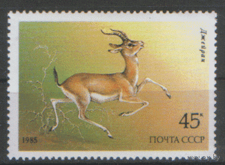 З. 5593. 1985. Джейран. ЧиСт.