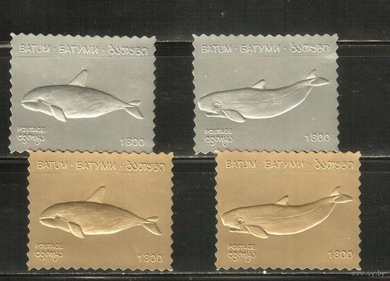 Батуми  , **  ,  Морская  Фауна , Дельфины, Киты (полная серия)