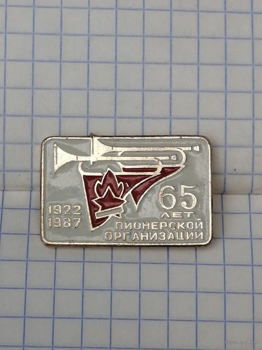65 лет пионерской организации.
