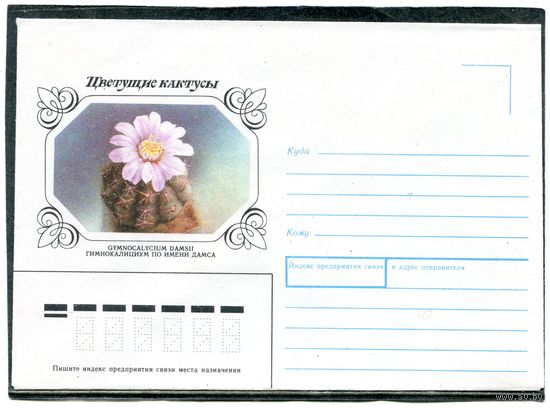 СССР 1990 (1983) Не маркированный конверт. Кактус Дамса