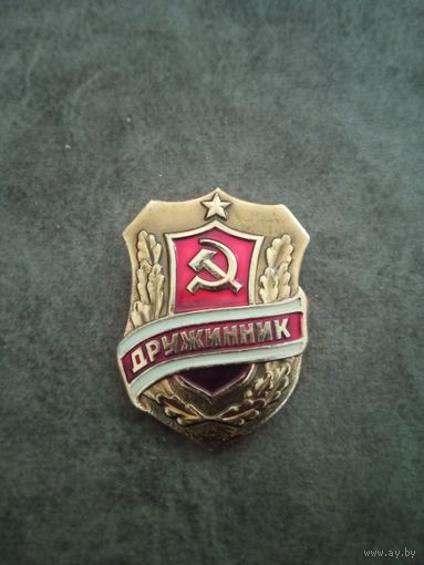Знак дружинник