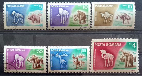 Доисторические животные.