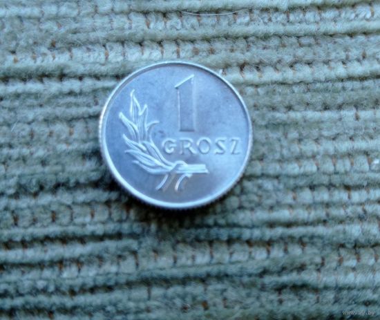 Werty71 Польша 1 грош 1949 Блеск
