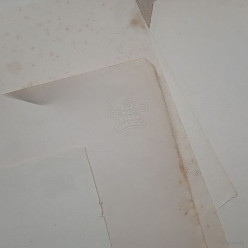 КНЯЗЯ ПАСКЕВИЧА . СТАРИННАЯ БУМАГА ДЛЯ ПИСЕМ С СУХИМ ШТАМПОМ клеймом. 19 век. ОРИГИНАЛ .