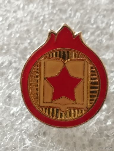 Значок пионерия Чехословакия.