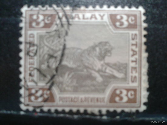 Малазийская конфедерация, колония Англии, 1904. Стандарт, тигр, 3с.