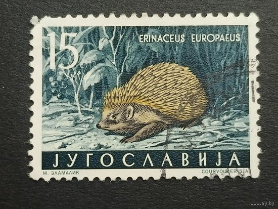 Югославия 1960. Местная фауна – млекопитающие